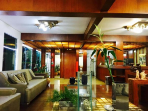 Гостиница Minas Palace Hotel  Пасус